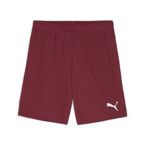 Puma teamGOAL Shorts - rot