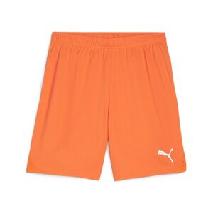 Puma teamGOAL Shorts - orange