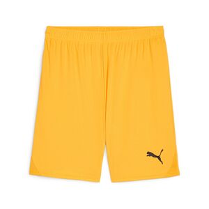 Puma teamGOAL Shorts - orange