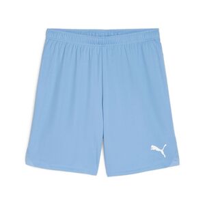 Puma teamGOAL Shorts - blau