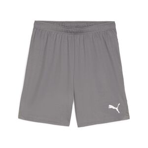 Puma teamGOAL Shorts - grau