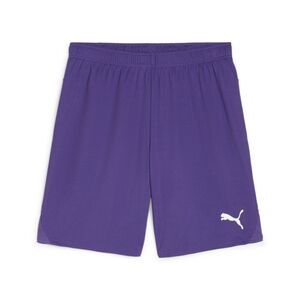 Puma teamGOAL Shorts - violett
