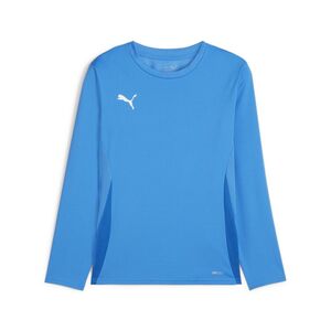 Puma teamGOAL LS Jersey Jr - blau