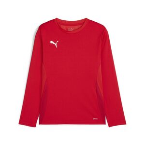 Puma teamGOAL LS Jersey Jr - rot