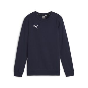Puma teamGOAL Casuals Crew Neck Sweat Jr - blau