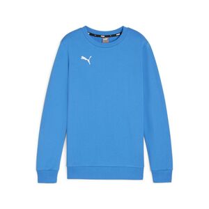 Puma teamGOAL Casuals Crew Neck Sweat Jr - blau