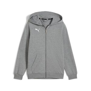 Puma teamGOAL Casuals Hooded Jacket Jr - grau