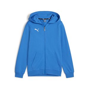 Puma teamGOAL Casuals Hooded Jacket Jr - blau