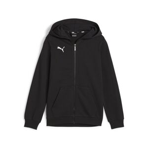 Puma teamGOAL Casuals Hooded Jacket Jr - schwarz