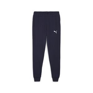 Puma teamGOAL Casuals Pants - blau