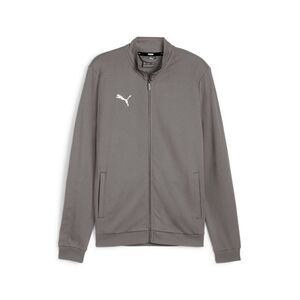 Puma teamGOAL Casual Tracktop - grau