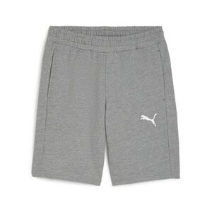 Puma teamGOAL Casuals Shorts - grau