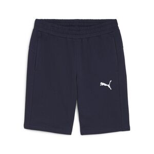 Puma teamGOAL Casuals Shorts - blau