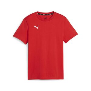 Puma teamGOAL Casuals Tee Jr - rot