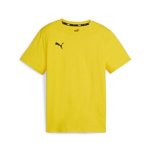 Puma teamGOAL Casuals Tee Jr - gelb