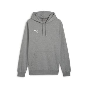 Puma teamGOAL Casuals Hoody - grau