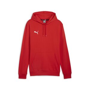 Puma teamGOAL Casuals Hoody - rot