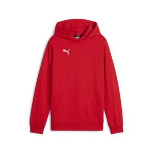 Puma teamGOAL Casuals Hoody Jr - rot