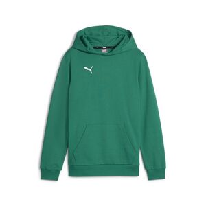 Puma teamGOAL Casuals Hoody Jr - gr�n