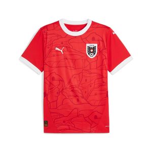 Puma �FB HOME Jersey Replica - rot