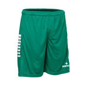 Derbystar Primo Hose V24 - gruen weiss