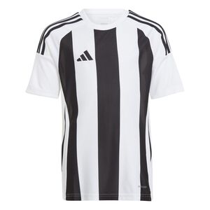 adidas Striped 24 Jsyy Trikot