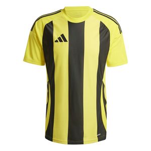 adidas Striped 24 Jsy Trikot