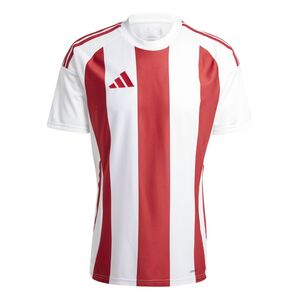 adidas Striped 24 Jsy Trikot