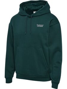 Hummel Hmlloose Hoodie Sportswear - ponderosa pine