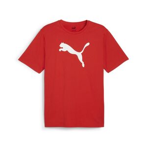 Puma teamRISE Logo Jersey Cotton - rot