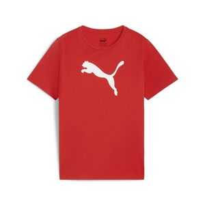 Puma teamRISE Logo Jersey Cotton Jr - rot