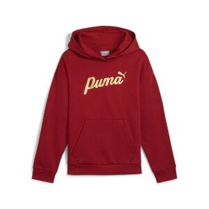 Puma Ess+ Script Metallic Hoodie Fl G - intense red-gold foil