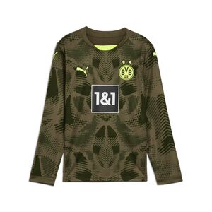 Puma BVB GK Jersey Replica LS Jr - gr�n