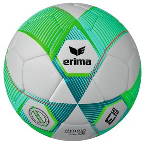 Erima Erima Hybrid Lite 290 - green gecko/petrol