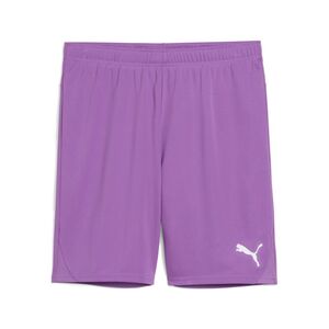 Puma teamGOAL Shorts - violett