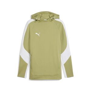 Puma teamEVOSTRIPE Hoody - gr�n