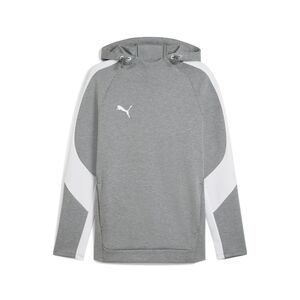 Puma teamEVOSTRIPE Hoody - grau