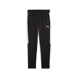 Puma teamEVOSTRIPE Pants - schwarz