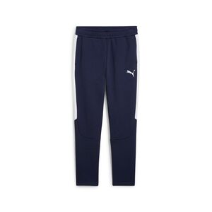 Puma teamEVOSTRIPE Pants - blau