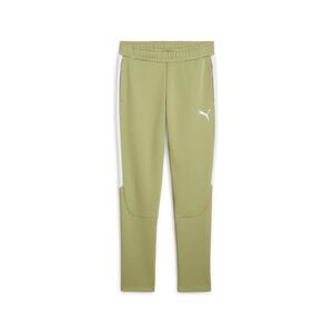 Puma teamEVOSTRIPE Pants - gr�n