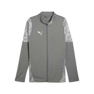 Puma teamCUP Training Jacket - grau