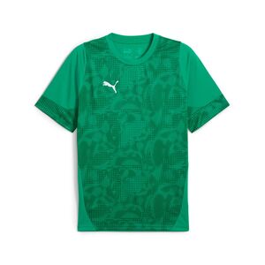 Puma teamCUP Training Jersey - gr�n