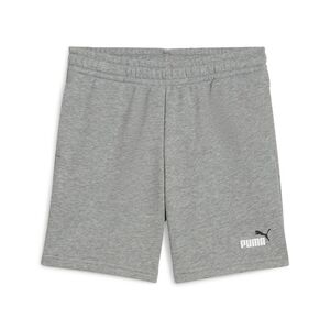 Puma ESS 2 COLOR No. 1 Logo Shorts TR B - grau