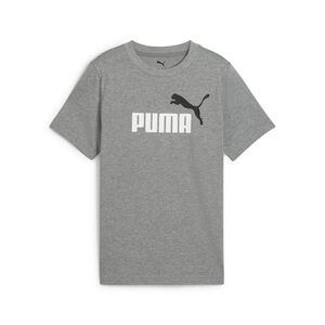 Puma ESS 2 COLOR No.1 Logo Tee B - grau