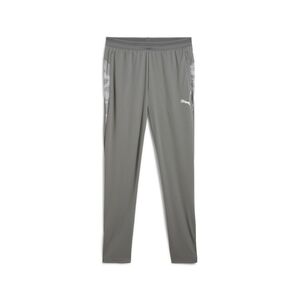 Puma teamCUP Training Pants - grau