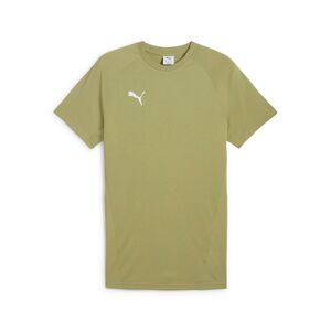 Puma teamEVOSTRIPE Tee - gr�n