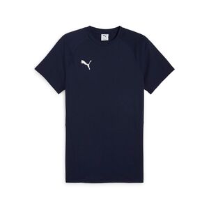 Puma teamEVOSTRIPE Tee - blau