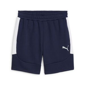 Puma teamEVOSTRIPE Shorts - blau