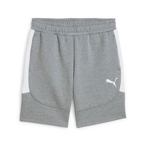 Puma teamEVOSTRIPE Shorts - grau