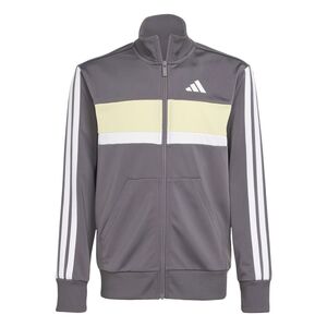 adidas J 3S Tiberio Ts - grestr/white/powyel